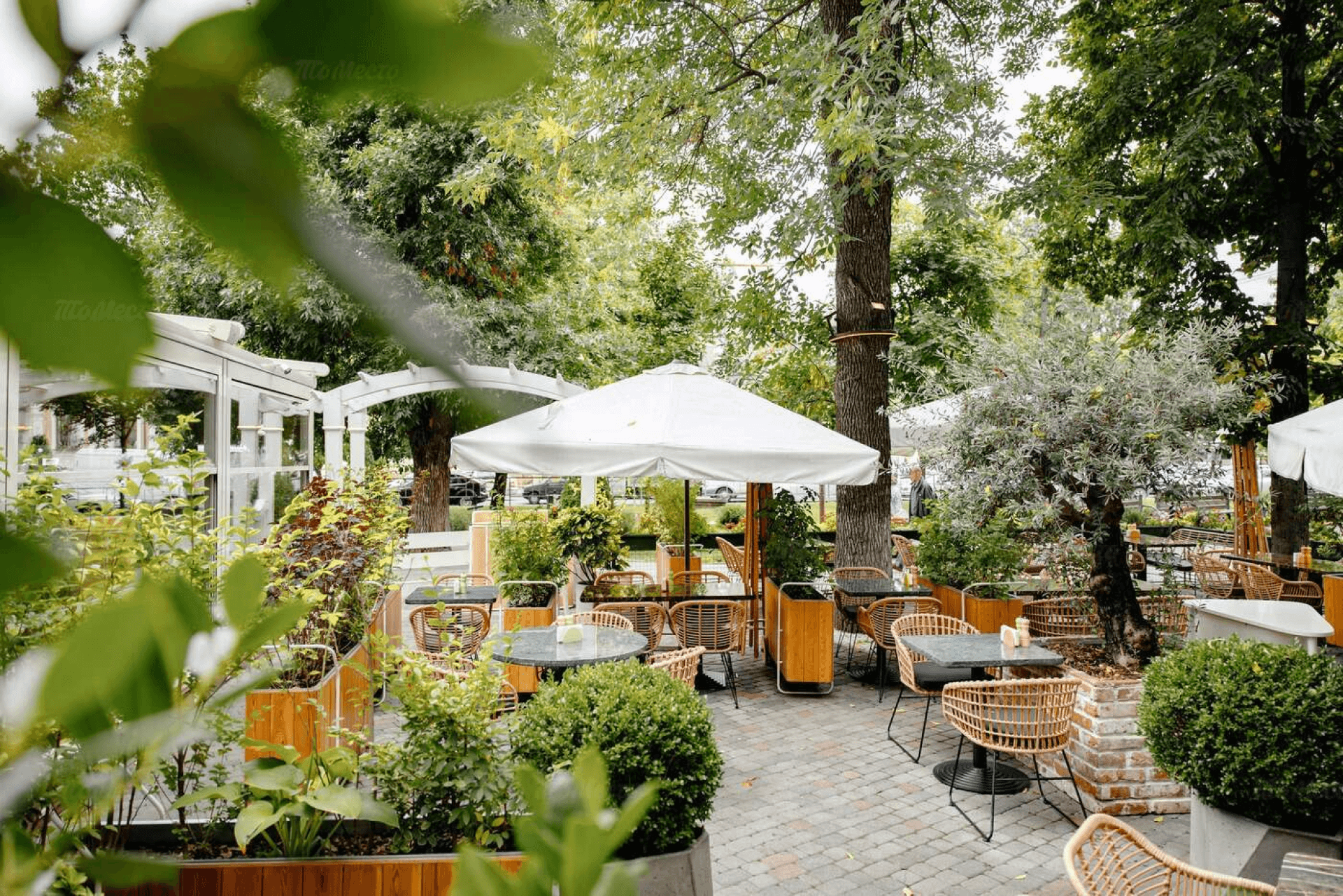 Птичка-Невеличка — фото 4